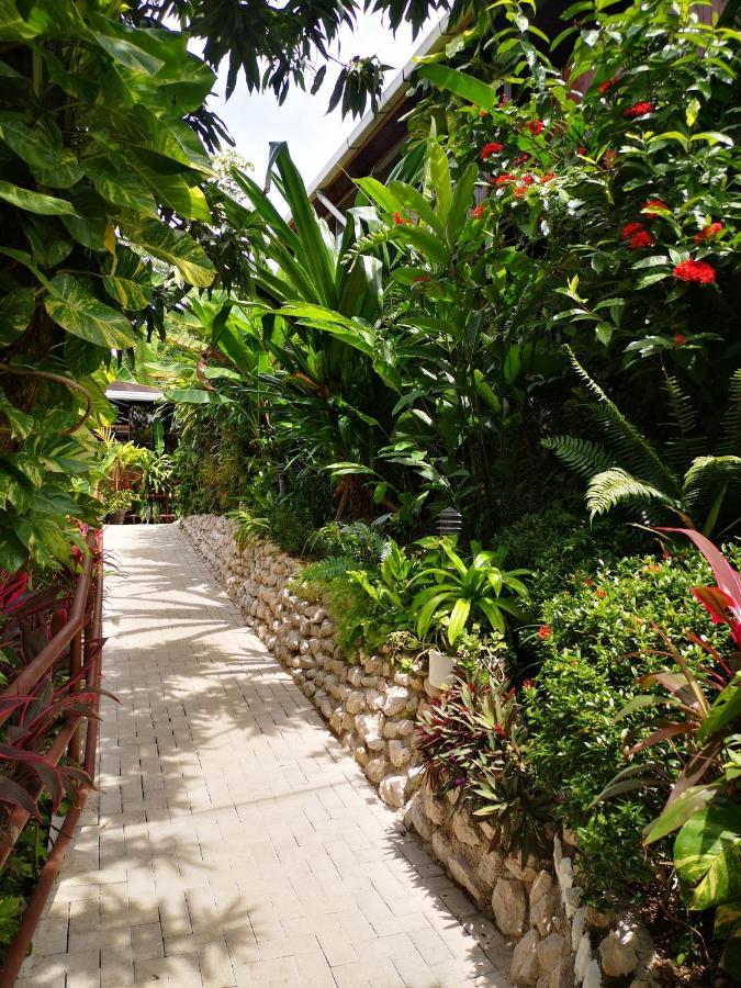 Hotel Belvedere Playa Samara Costa Rica Dış mekan fotoğraf