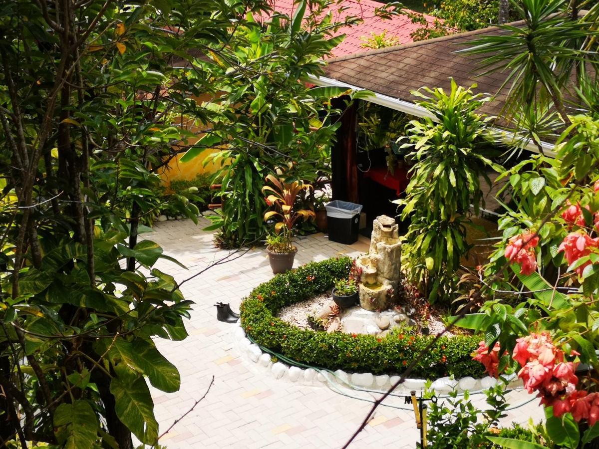 Hotel Belvedere Playa Samara Costa Rica Dış mekan fotoğraf