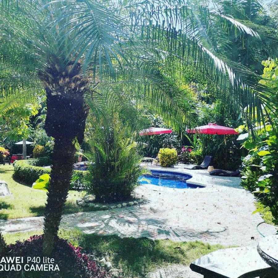 Hotel Belvedere Playa Samara Costa Rica Dış mekan fotoğraf